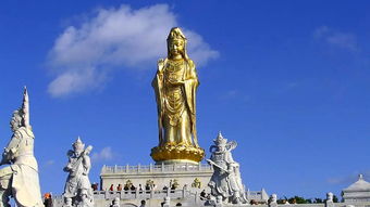 普陀山南海观音显灵吓倒游客，什么人不适合去普陀山