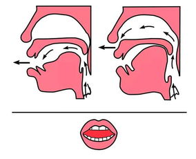 s发音，s发音规则