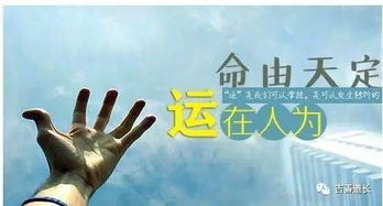 男孩八字强好还是弱好,八字过弱有什么不好?