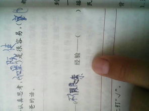 索取的反义词是什么