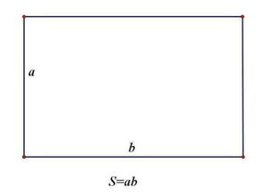 长方形的面积是怎么计算的?