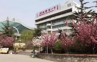 保定市一中分校怎么样