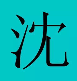沈拼音，沈拼音怎么读