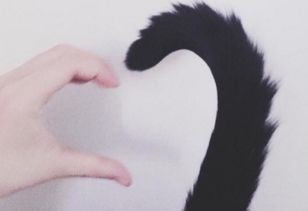 情侣间亲密的昵称