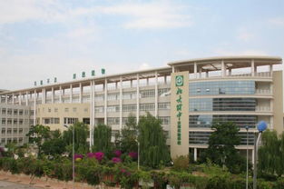 为什么不建议选北大附中昆明
