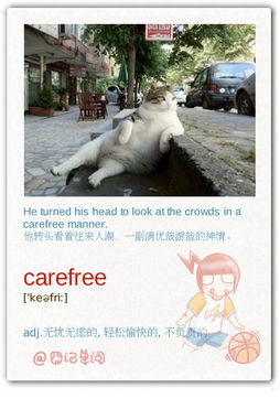 无忧无虑的类似的词语