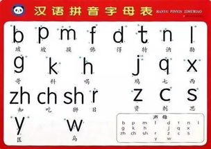 剥皮的拼音怎么写