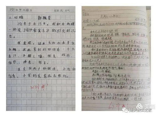 四年级的读书笔记