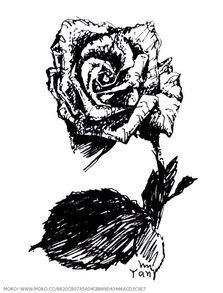 水笔画，水笔画画图片