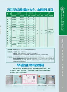 中职生升专科要多少分?