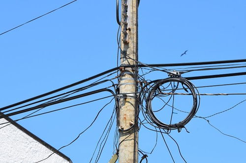 电线杆的拼音狐电线杆的拼音是什么