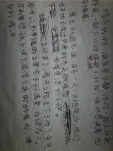 所见续写400字，所见改写作文