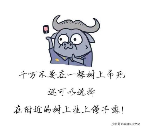 护你周全什么意思