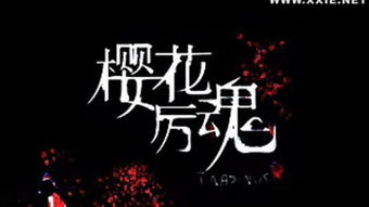 樱花厉魂我怎么找到两个版本,有点不一样,哪个才是真正的
