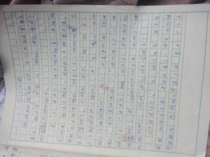 用所见这首诗写作文400字
