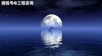 海上生明月的下一句是什么?