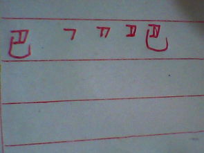 巴的笔顺怎么写