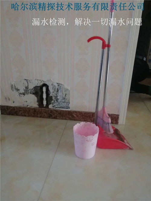 漏水检测什么价格啊