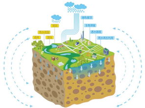 海绵城市什么意思，建筑海绵城市什么意思