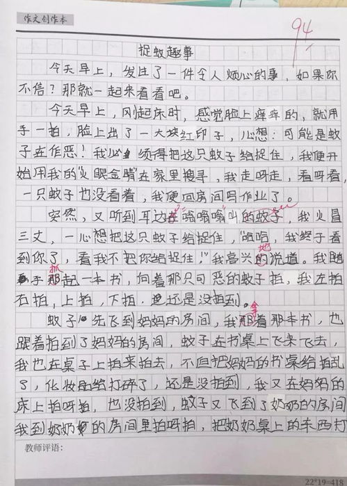 捉蚊趣事作文