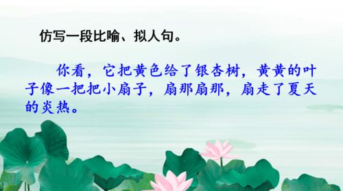 荷花三年级课文，荷花三年级课文生字