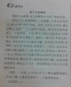 寻找的近义词。寻找的近义词是什么?