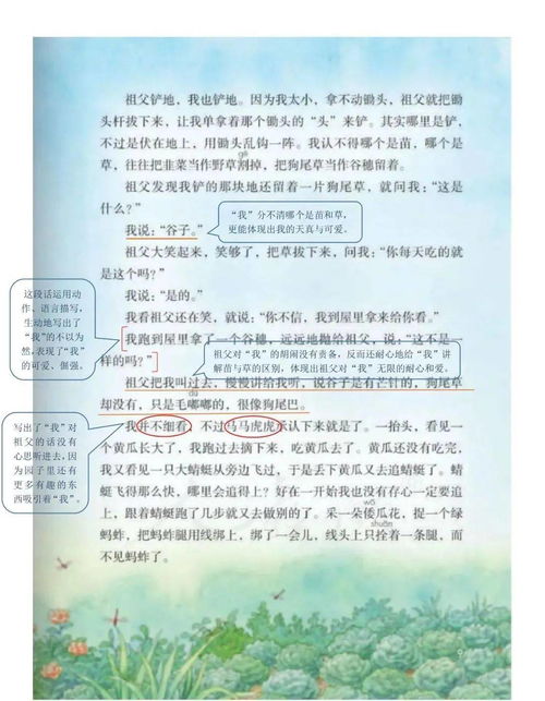 五年级语文上册《落花生》教学笔记