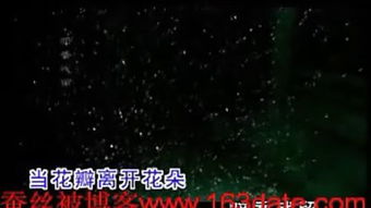 暗香歌词，暗香歌词表达什么感情