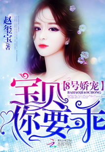娇宠宝贝，娇宠宝贝小说