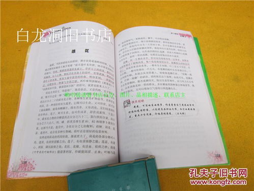 初中优秀作文800字范文10篇