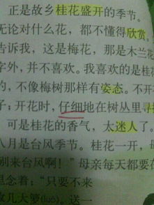 寻找的近义词