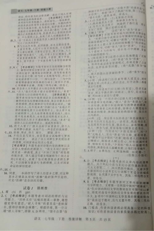 王朝霞七年级下语文，王朝霞试卷七年级下册语文