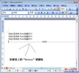 怎么在word中去掉分隔符