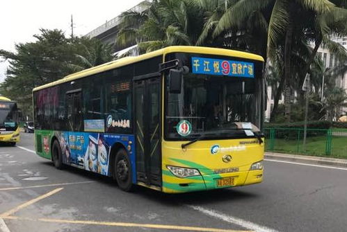 铜陵公交9路公交车路线