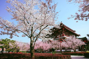 江头宫殿锁千门，江头宫殿锁千门打一字