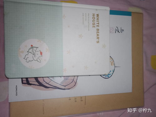 b5的本子多大参照物