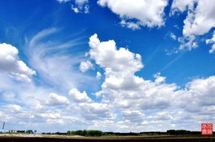 天上的云像什么像什么像什么