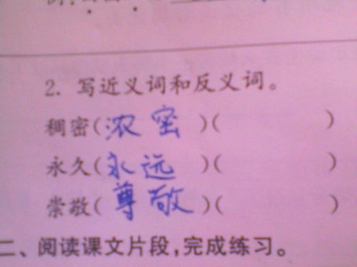 坚定的反义词。
