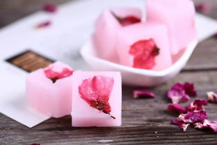 樱花果冻，樱花果冻图片