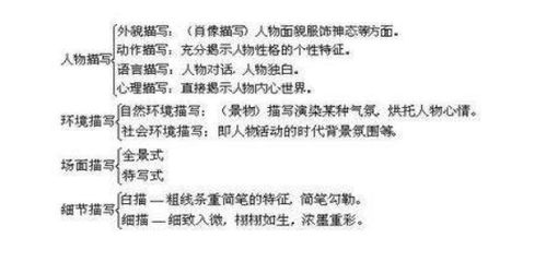 语文中有哪些描写手法?表现手法?