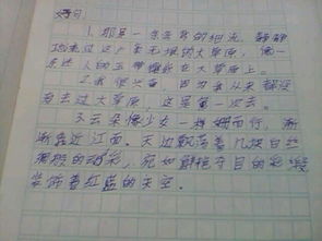 摘抄600字