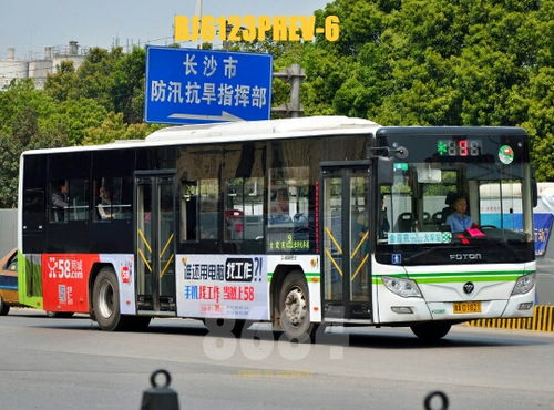 9路车的公交路线，南阳9路车的公交路线