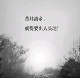 背井离乡的近义词和反义词