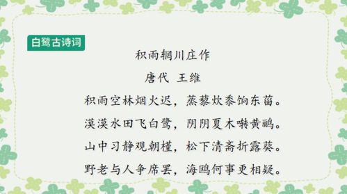 零五网小学六年级语文亮点给力提优课时作业本答案