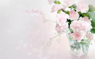 冰心现代诗100首，冰心现代诗100首简短繁星