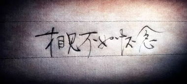 相见不如怀念是什么意思