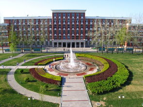 清华大学附中，清华大学附中国际部