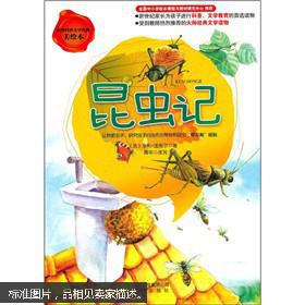 昆虫记主要内容是什么