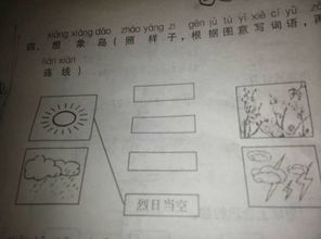 填上合适的词语什么的青蛙