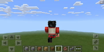 这个我的世界皮肤叫什么啊?